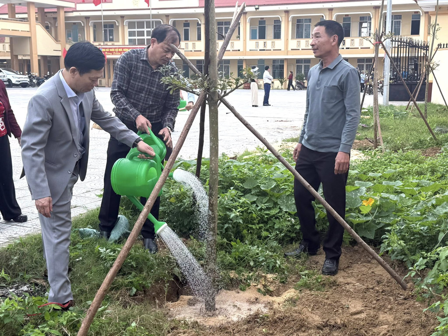 Tết trồng cây 1