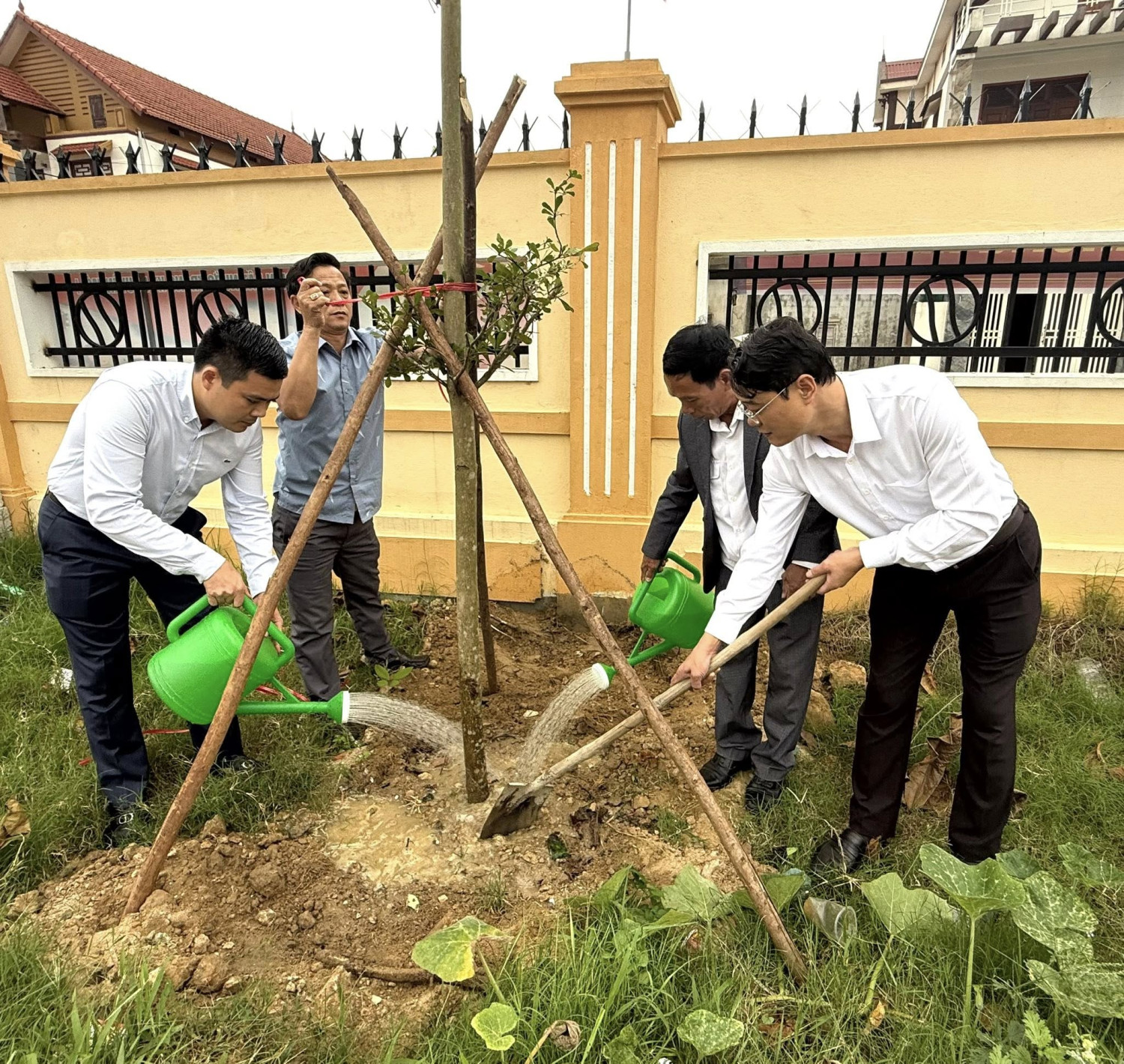 Tết trồng cây5